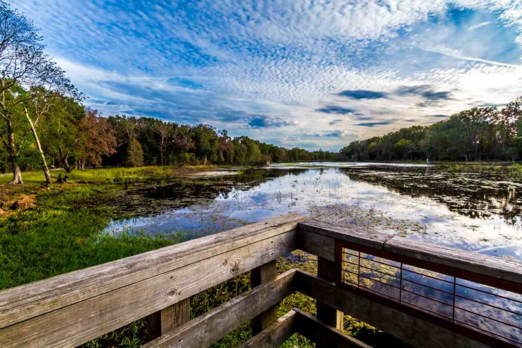 An observation dock at Creekfield Lake in Brazos Bend State Park