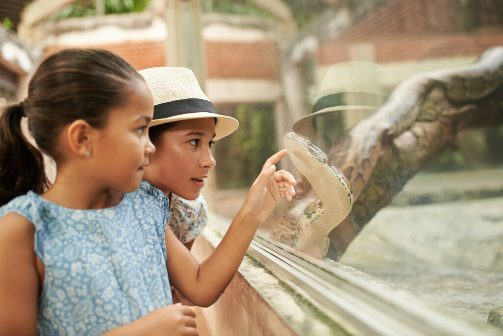 Two young children point and look at a snake inside a glass enclosure as the white snake climbs up the wall toward the girl’s pointed finger.