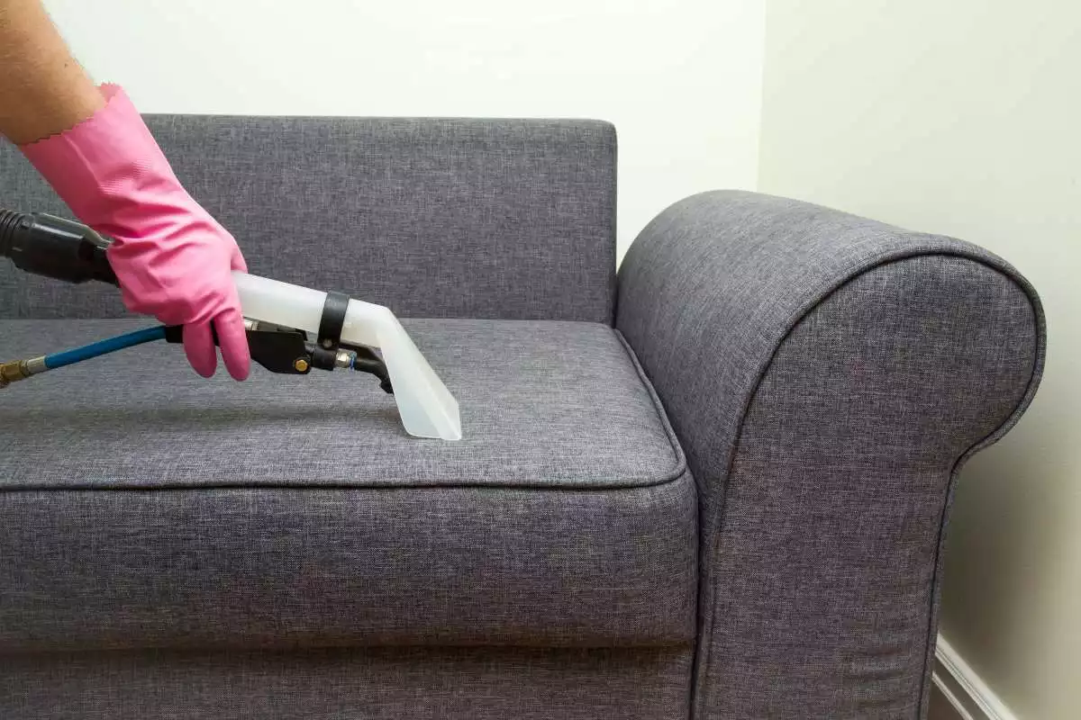 Upholstered furniture getting vacuumed by a cleaner.