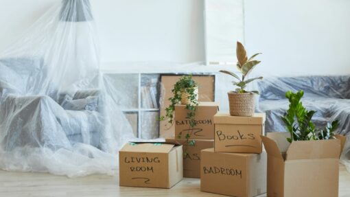 A stack of labeled moving boxes sits on the floor with house plants.