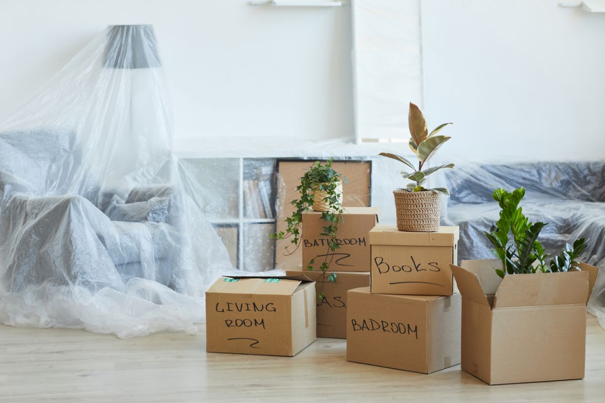 A stack of labeled moving boxes sits on the floor with house plants.