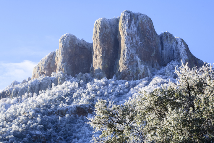 Snow-capped mountains and trees in Big Bend National Park.