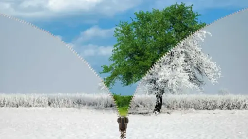 A zipper graphic divides a spring and winter landscape in half.