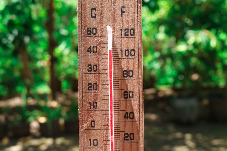 A wooden thermometer reads 108° F and 42° C with green foliage partially shaded behind.